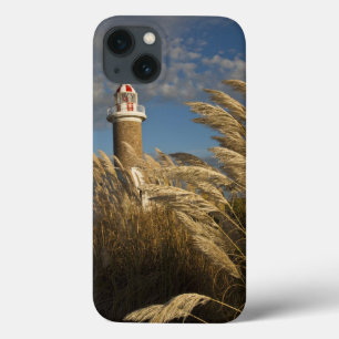 Uruguay, Montevideo Department, Montevideo. 2 iPhone 13 Case