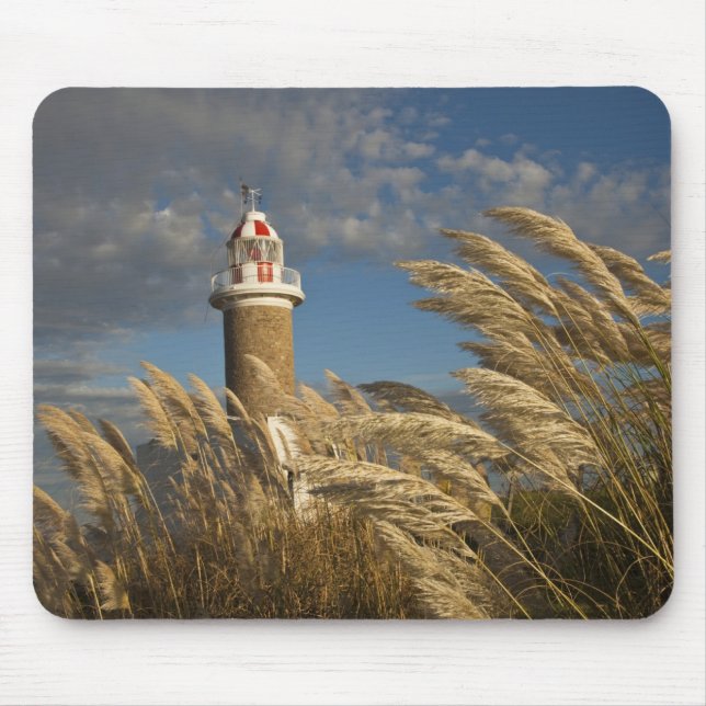 Uruguay, Montevideo Department, Montevideo. 2 Mouse Pad (Front)