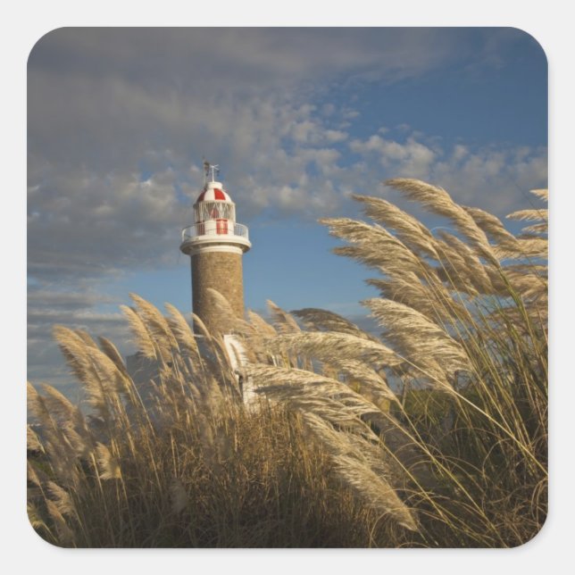 Uruguay, Montevideo Department, Montevideo. 2 Square Sticker (Front)