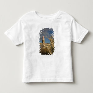 Uruguay, Montevideo Department, Montevideo. 2 Toddler T-Shirt