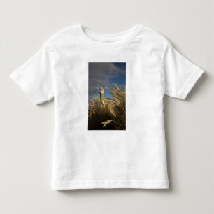 Uruguay, Montevideo Department, Montevideo. 2 Toddler T-Shirt