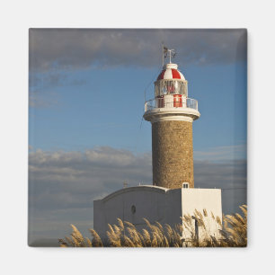 Uruguay, Montevideo Department, Montevideo. 3 Magnet