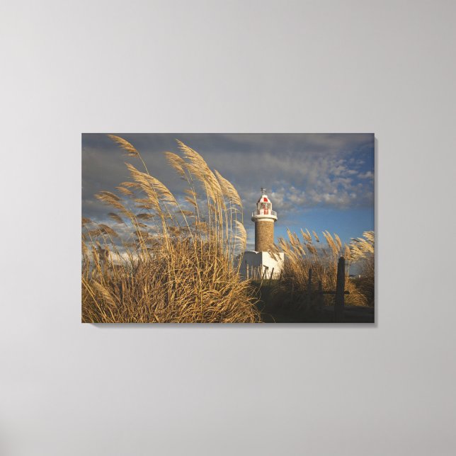 Uruguay, Montevideo Department, Montevideo. Canvas Print (Front)