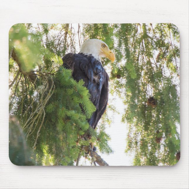 US48 TDR1627.jpg Mouse Pad (Front)