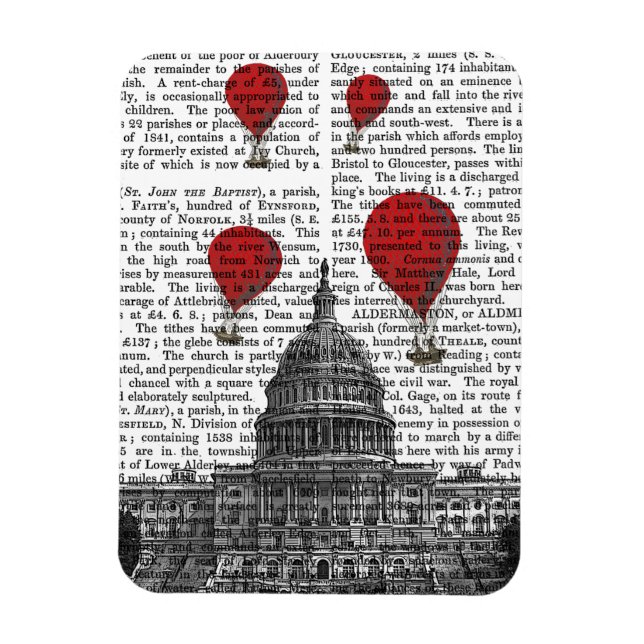 US Capitol Building and Red Hot Air Balloons Magnet (Vertical)