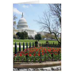 US Capitol building spring