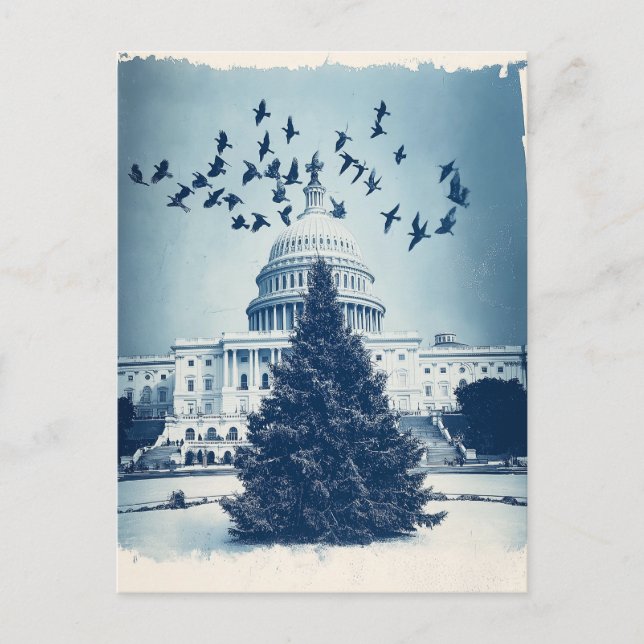 US Capitol Hill Christmas Tree Holiday Card, retro Postcard (Front)