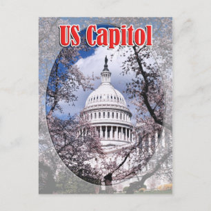 US Capitol with cherry blossoms, Washington DC Postcard
