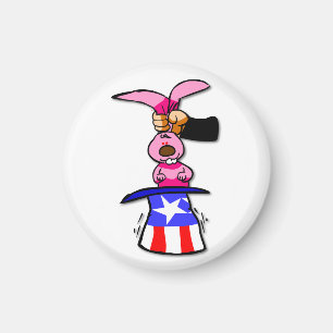 US Election Magnet