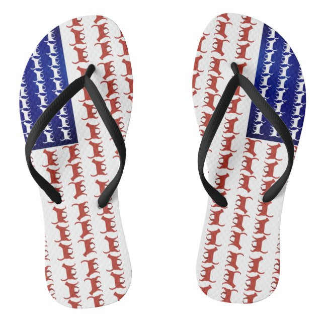 US flag cats patriotic decor Jandals (Footbed)