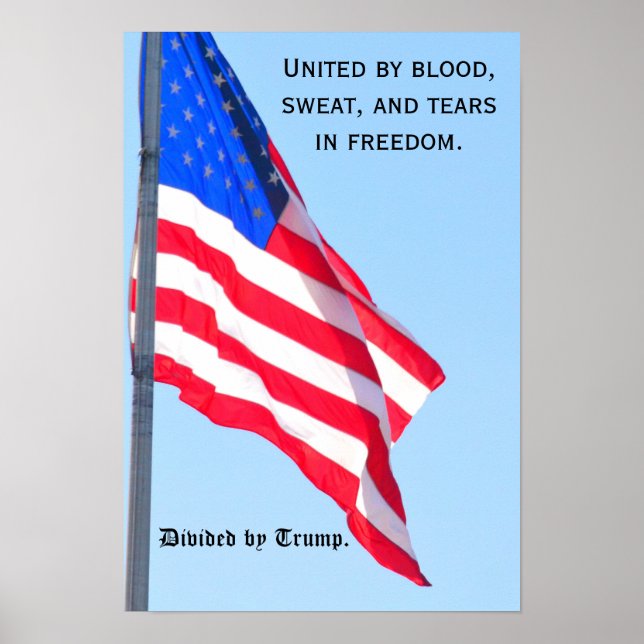 US flag: United...in freedom/ divided by Trump Poster (Front)