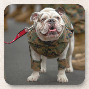US MILITARY SERVICE DOG COASTER