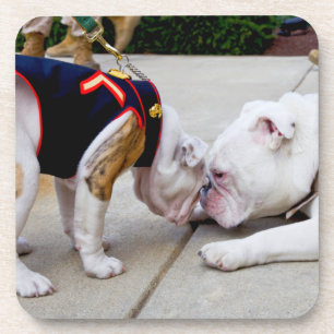 US MILITARY SERVICE DOG COASTER