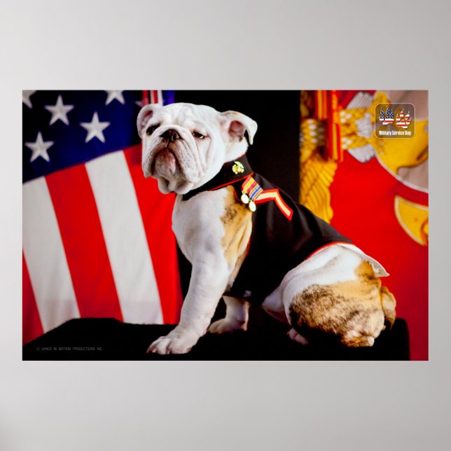 US MILITARY SERVICE DOG POSTER (Front)