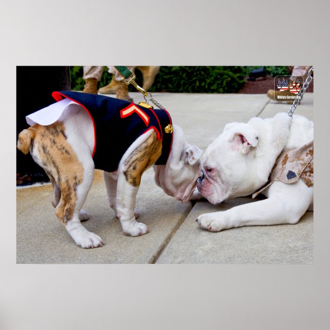 US MILITARY SERVICE DOG POSTER (Front)