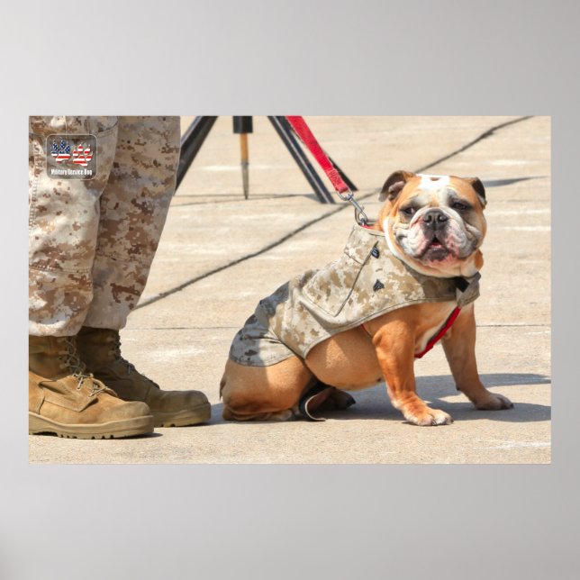 US MILITARY SERVICE DOG POSTER (Front)