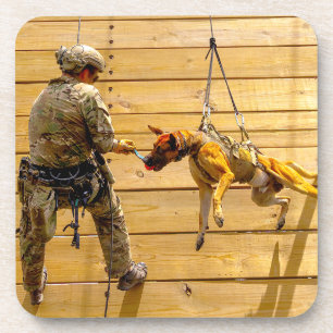 US MILITARY WORKING DOG COASTER