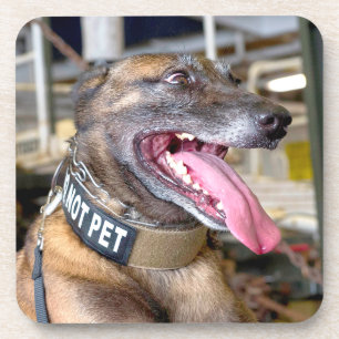 US MILITARY WORKING DOG COASTER