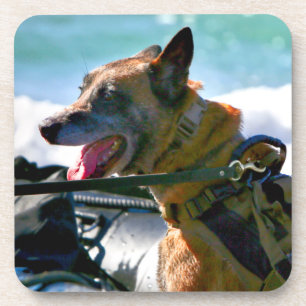 US MILITARY WORKING DOG COASTER
