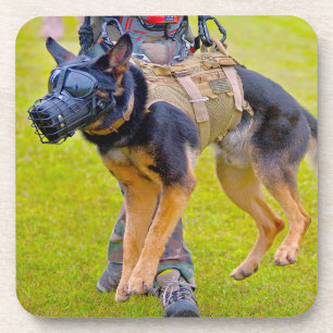 US MILITARY WORKING DOG COASTER