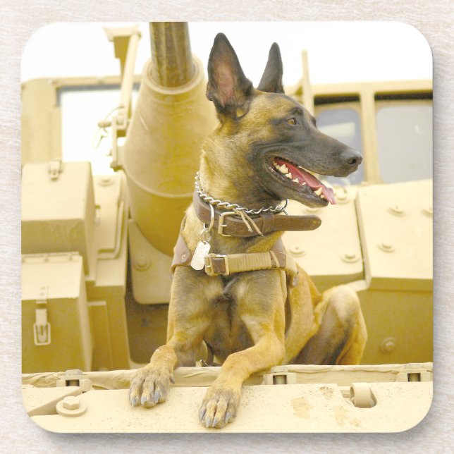 US MILITARY WORKING DOG COASTER (Front)