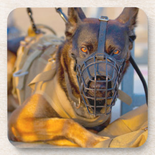 US MILITARY WORKING DOG COASTER