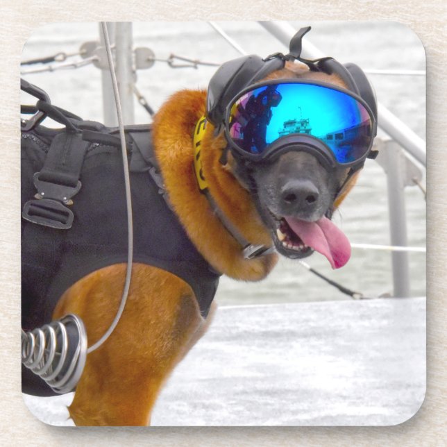 US MILITARY WORKING DOG COASTER (Front)