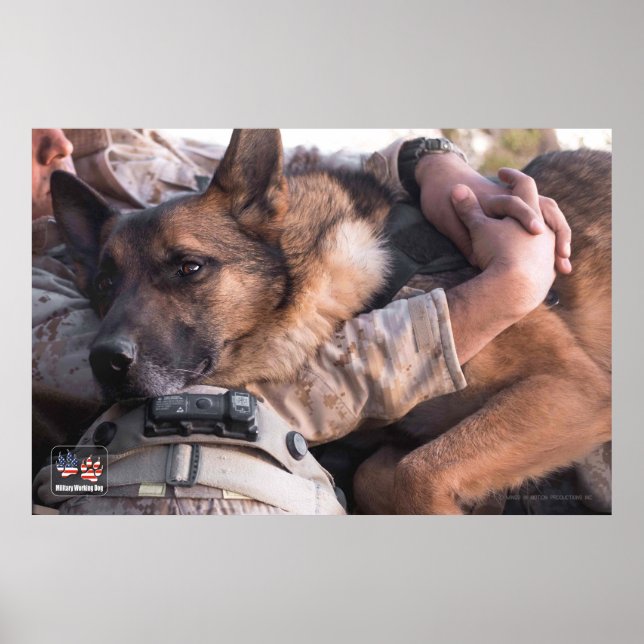 US MILITARY WORKING DOG POSTER (Front)