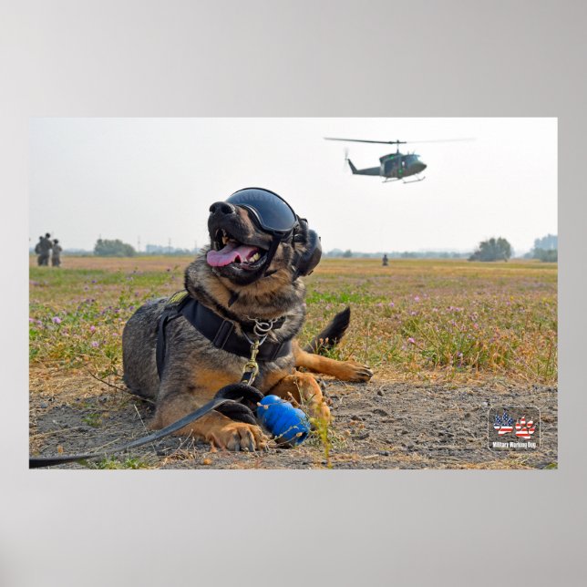 US MILITARY WORKING DOG POSTER (Front)