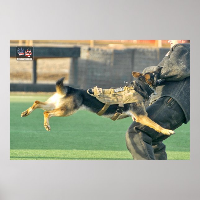 US MILITARY WORKING DOG POSTER (Front)
