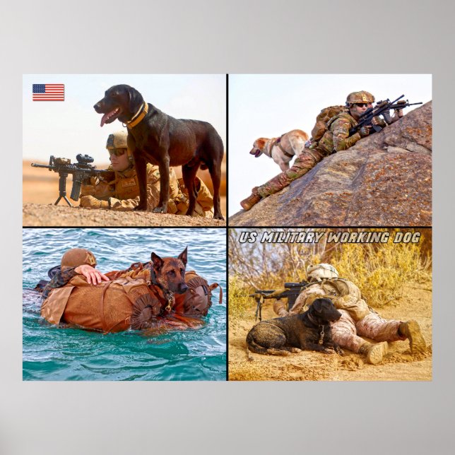 US MILITARY WORKING DOG POSTER (Front)