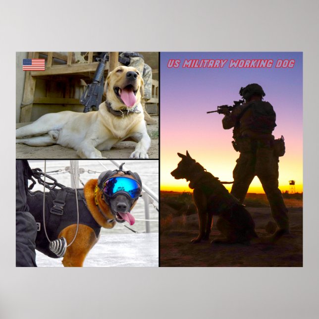 US MILITARY WORKING DOG POSTER (Front)