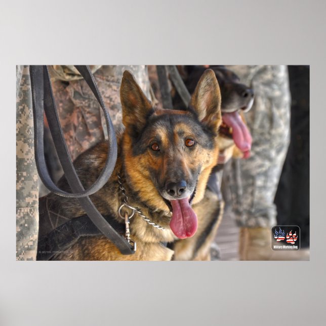US MILITARY WORKING DOG POSTER (Front)