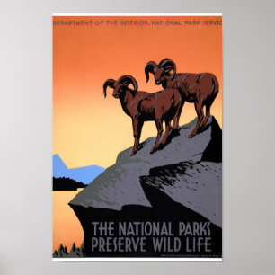 US National Parks Vintage Poster Restored