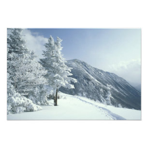 US, NH, Snow covered trees Trails Snoeshoe Photo Print