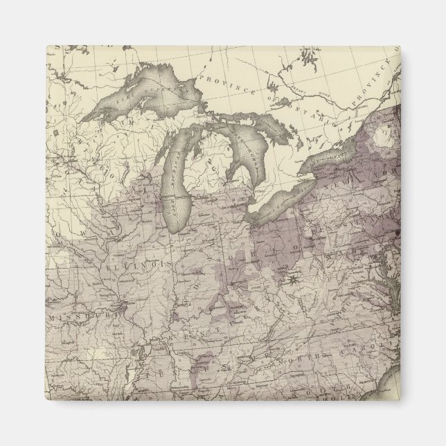 US Population 1850 Magnet (Front)