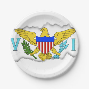 US Virgin Islands flag Paper Plate