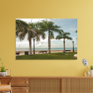 US Virgin Islands Tropical Palm Trees Ocean Canvas Print