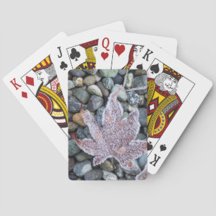 Us, Wa, Bainbridge Island. Early Morning Frost 2 Playing Cards