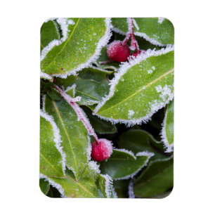 Us, Wa, Bainbridge Island. Early Morning Frost Magnet