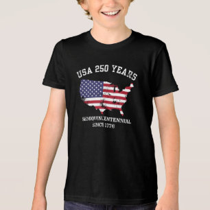 USA 250 Years 4Th Of July T-Shirt Tri-Blend Shirt