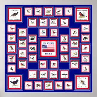 USA 50 STATE BIRDS BLUE/552 POSTER