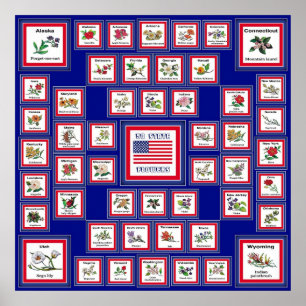 USA 50 STATE FLOWERS BLUE/558 POSTER
