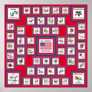 USA 50 STATE FLOWERS RED/560 POSTER