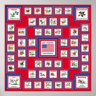 USA 50 STATE FLOWERS RED/560 POSTER