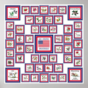 USA 50 STATE FLOWERS WHITE/559 POSTER
