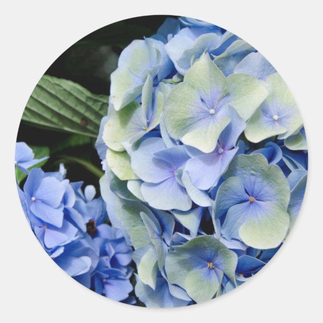 USA, Alabama, Theodore Near Mobile 2 Classic Round Sticker (Front)