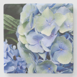 USA, Alabama, Theodore Near Mobile 2 Stone Coaster