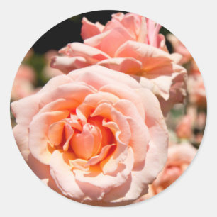 USA, Alabama, Theodore Near Mobile 5 Classic Round Sticker