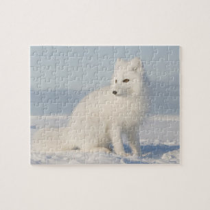 USA, Alaska, 1002 Coastal Plain of the Arctic 5 Jigsaw Puzzle